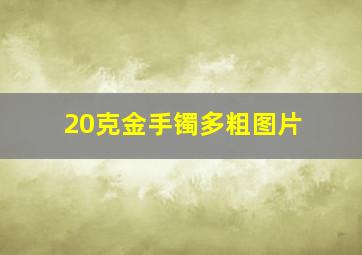 20克金手镯多粗图片