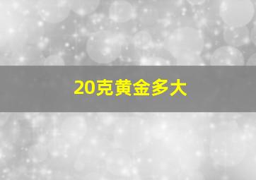 20克黄金多大