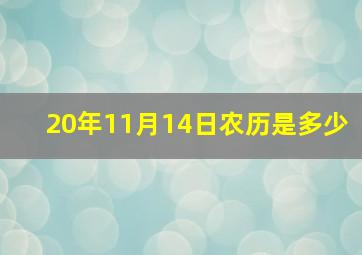 20年11月14日农历是多少