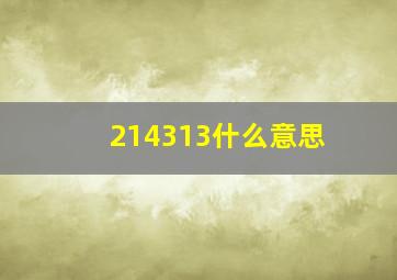 214313什么意思