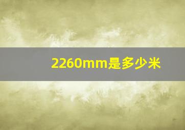 2260mm是多少米