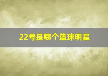 22号是哪个篮球明星