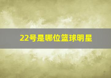 22号是哪位篮球明星