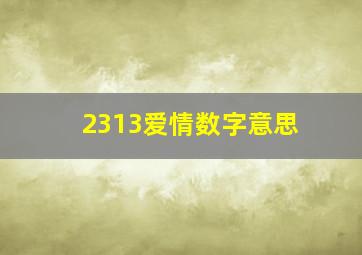 2313爱情数字意思