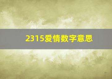 2315爱情数字意思