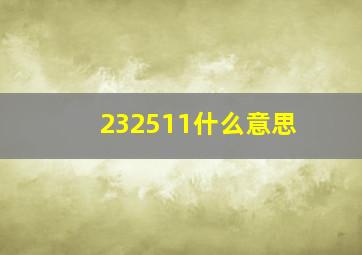 232511什么意思