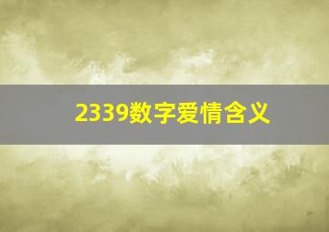 2339数字爱情含义