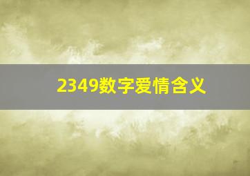 2349数字爱情含义