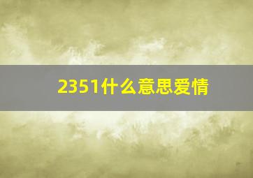 2351什么意思爱情