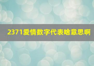 2371爱情数字代表啥意思啊