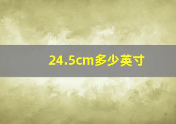 24.5cm多少英寸