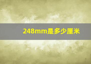 248mm是多少厘米