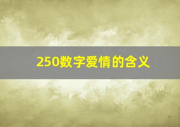 250数字爱情的含义