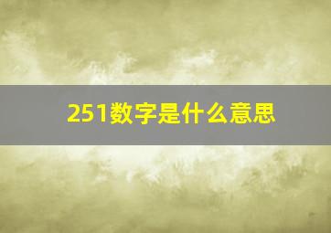 251数字是什么意思