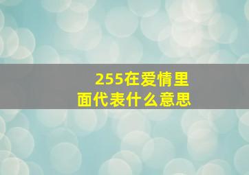 255在爱情里面代表什么意思