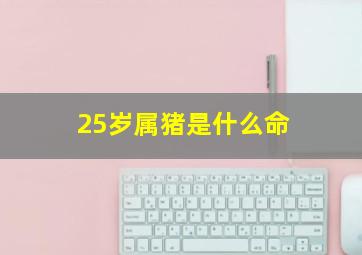 25岁属猪是什么命