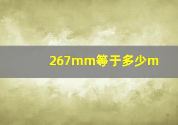 267mm等于多少m