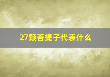 27颗菩提子代表什么