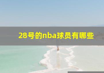 28号的nba球员有哪些