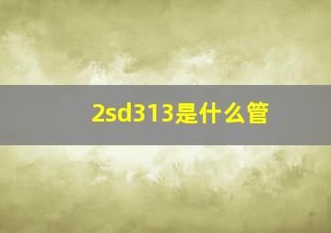 2sd313是什么管