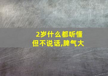 2岁什么都听懂但不说话,脾气大