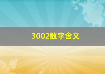 3002数字含义