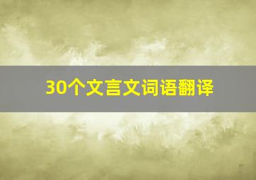 30个文言文词语翻译