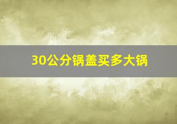 30公分锅盖买多大锅