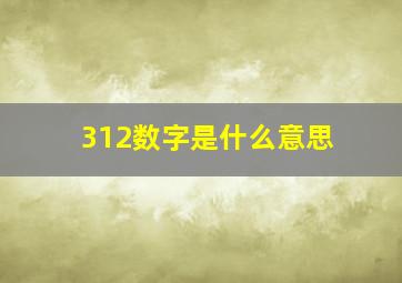 312数字是什么意思