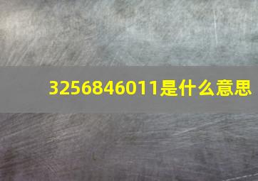 3256846011是什么意思