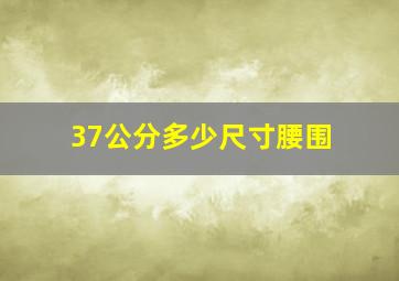 37公分多少尺寸腰围