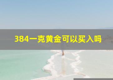 384一克黄金可以买入吗