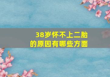 38岁怀不上二胎的原因有哪些方面