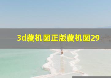 3d藏机图正版藏机图29