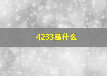 4233是什么