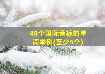 48个国际音标的单词举例(至少5个)