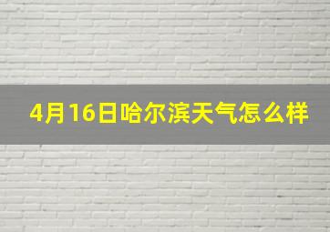 4月16日哈尔滨天气怎么样