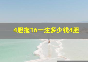 4胆拖16一注多少钱4胆