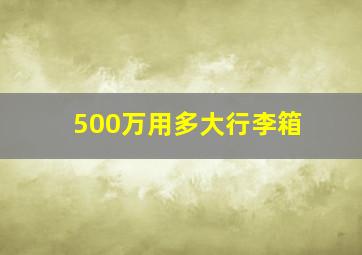 500万用多大行李箱