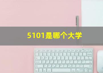 5101是哪个大学