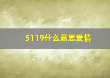 5119什么意思爱情