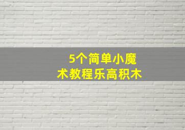 5个简单小魔术教程乐高积木