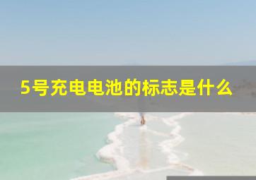 5号充电电池的标志是什么