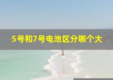 5号和7号电池区分哪个大