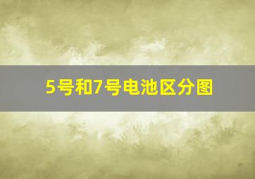 5号和7号电池区分图