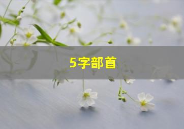 5字部首