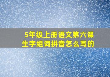 5年级上册语文第六课生字组词拼音怎么写的