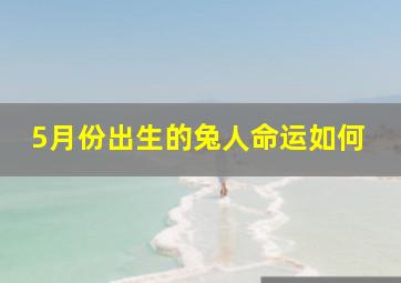 5月份出生的兔人命运如何