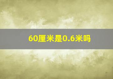 60厘米是0.6米吗