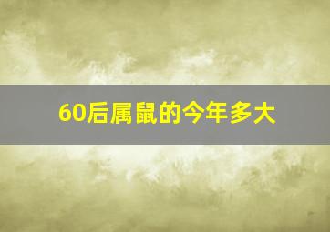 60后属鼠的今年多大